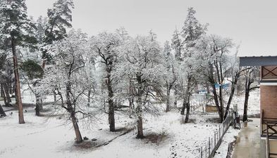 ბაკურიანი პარკ რეზიდენს აპარტმენტი 47_4