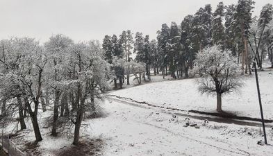 ბაკურიანი პარკ რეზიდენს აპარტამენტი 15_5