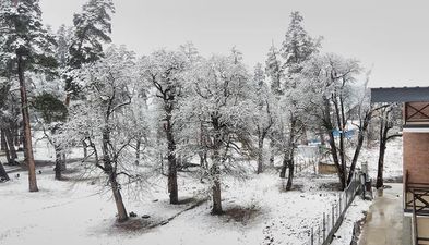 ბაკურიანი პარკ რეზიდენს აპარტამენტი 15_7