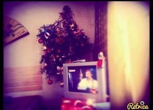 კოტეჯი ბაკურიანში_9