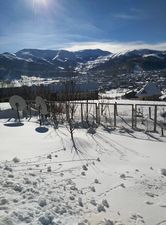 კოტეჯი ბაკურიანში_2