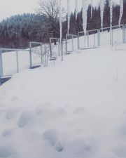 კოტეჯი ბაკურიანში_4