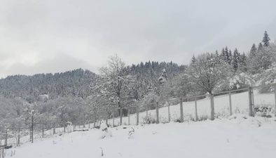 კოტეჯი ბაკურიანში_7