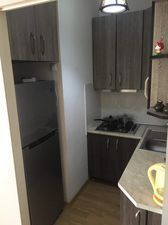 ბინა ალეკო_3