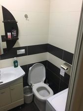 ბინა ალეკო_4