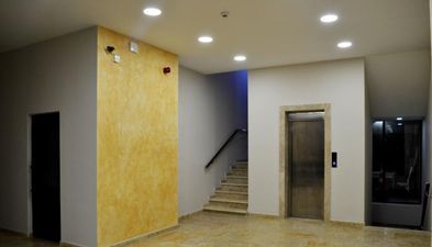 სამი პინგვინი_9