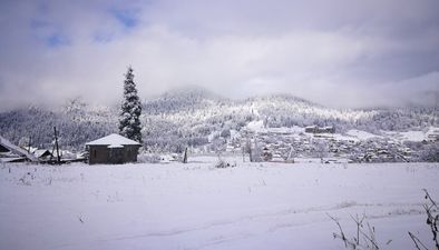 დიდველი შალე ლელე 146_2