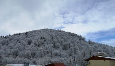 დიდველი შალე ლელე 146_3