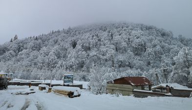 დიდველი შალე ლელე 146_5