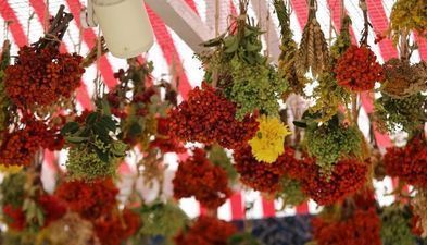 სასტუმრო ჯიესჯი_2