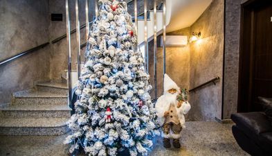 Milano palace borjomi_6