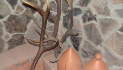 Borjomi Villa Roma_6