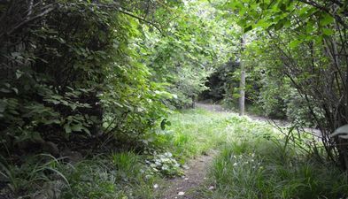 აპარტამენტი თელავში_4