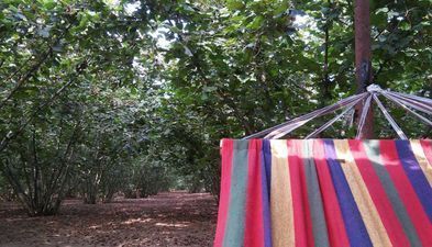 Дом в Мартвили_2