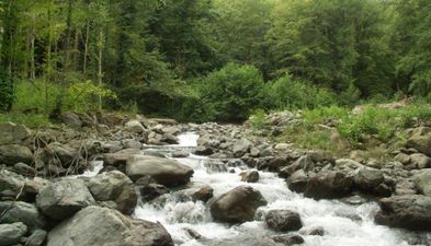 კეთილი სახლი_4