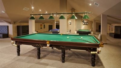 ალპინა_9