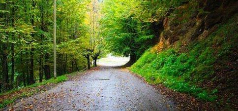 Guest house in Sairme_7