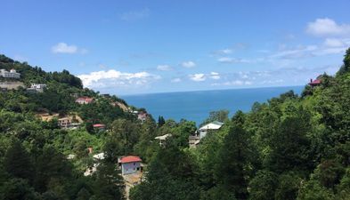 ორეინჯ ჰაუს_4