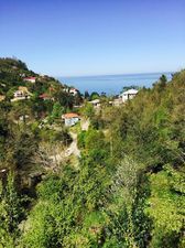 ორეინჯ ჰაუს_7