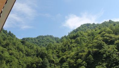 ორეინჯ ჰაუს_9