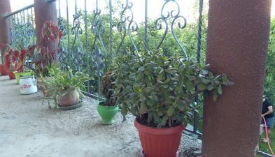 საოჯახო სასტუმრო სახლი თბილისში_3