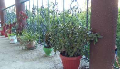 საოჯახო სასტუმრო სახლი თბილისში_5