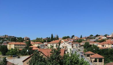 ეკა და გიო_9