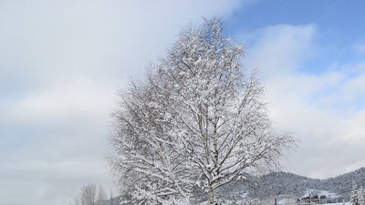 ბაკურიანი რიზორტს_4