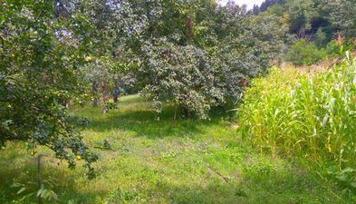 ოაზისი_3