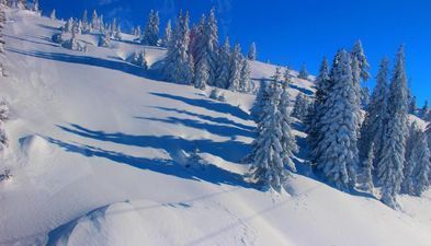 ოაზისი_6