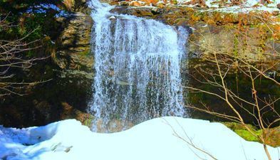 ოაზისი_7