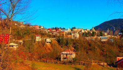 ოაზისი_8