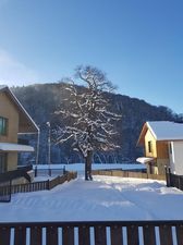 კრისტალ ვილა N19/2_2