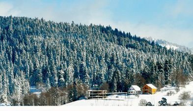 კრისტალ ვილა N19/2_3