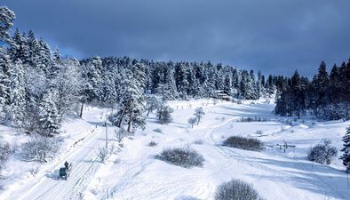 კრისტალ ვილა N19/2_5