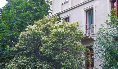 ექსკლუზიური ბინა ძველ ქუთაისში_5