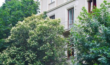 ექსკლუზიური ბინა ძველ ქუთაისში_6