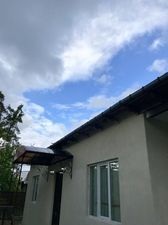 მიმინო_2