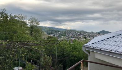 მიმინო_3