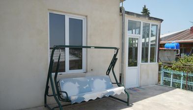 მიმინო_4