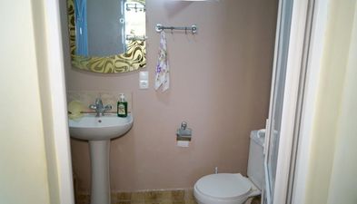 მიმინო_5