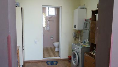 მიმინო_7