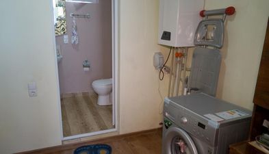 მიმინო_8