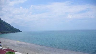 MGZAVREBI GONIO 502_6