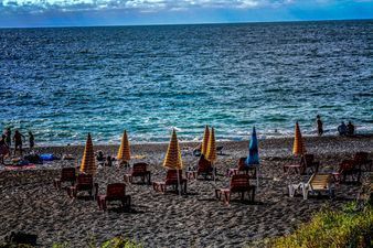 MGZAVREBI GONIO 502_7