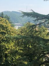 ჟვანსკი_3