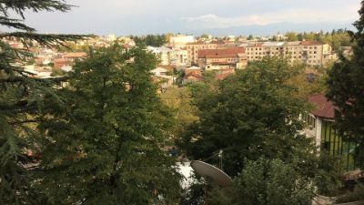 ჟვანსკი_8