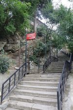 ჟვანსკი_9