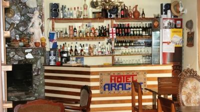 არაგვი_4