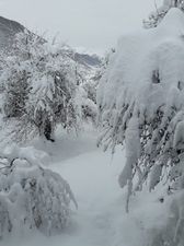 ქვეშეთი 2_7